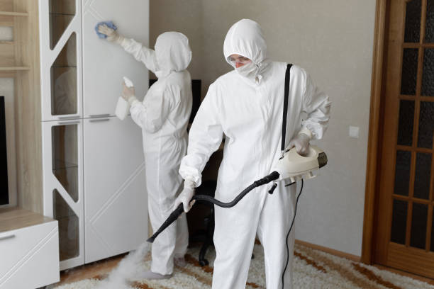 Why You Should Choose Our Mold Remediation Services in Bloomingdale, IL